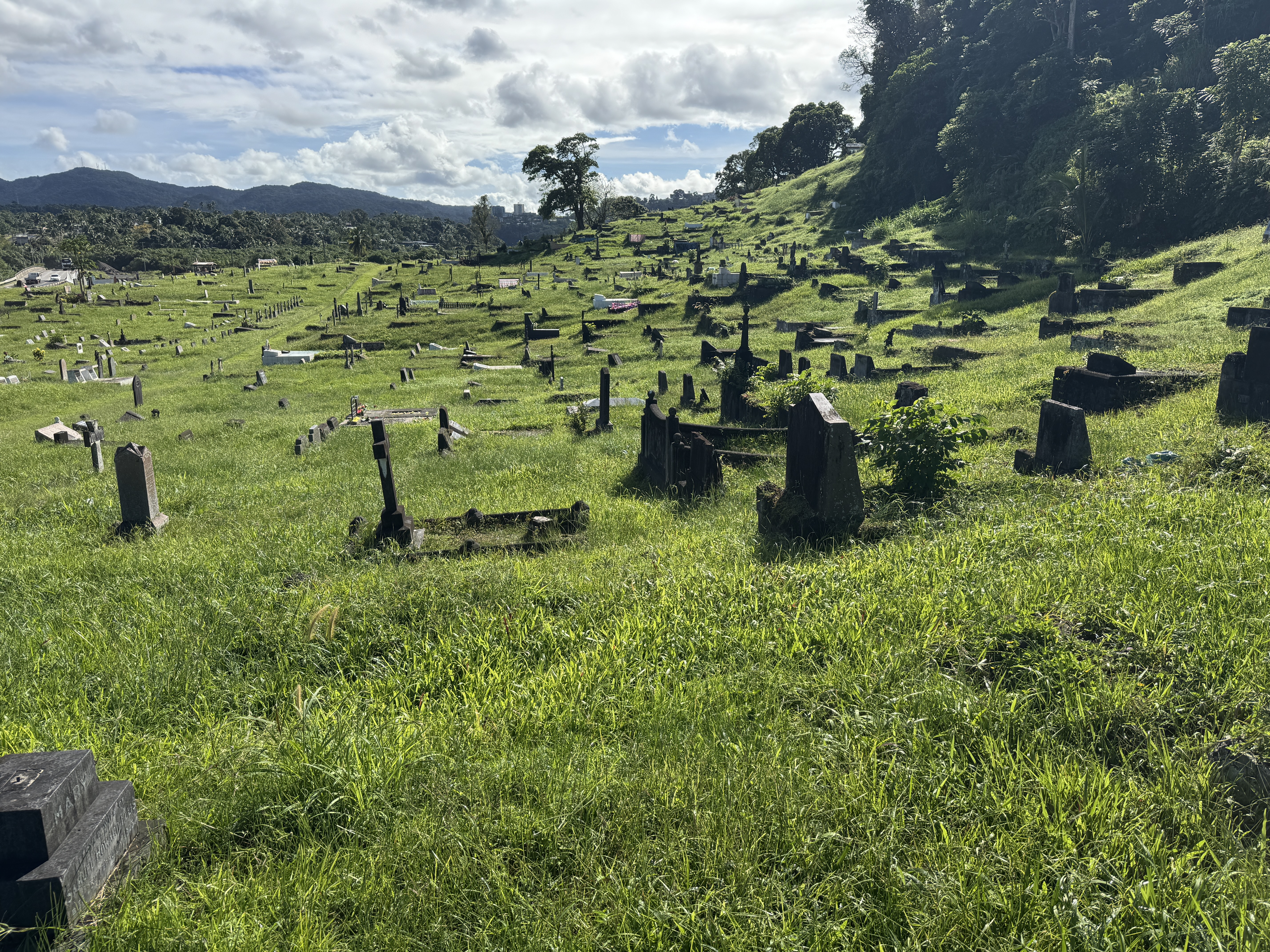 They're in this, the none-too-kempt Suva cemetery.