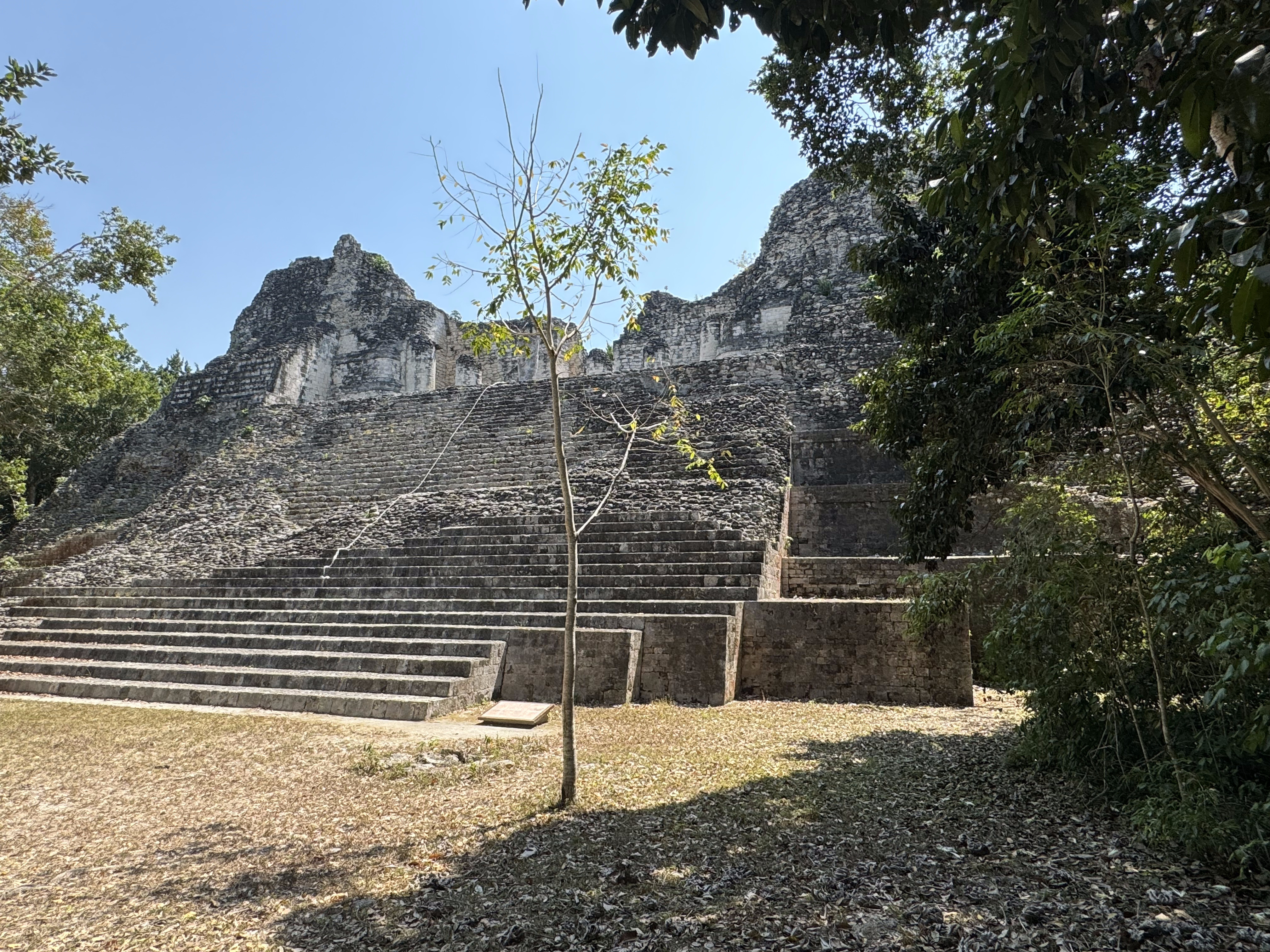 Structure 8, at one side of the Central Plaza.