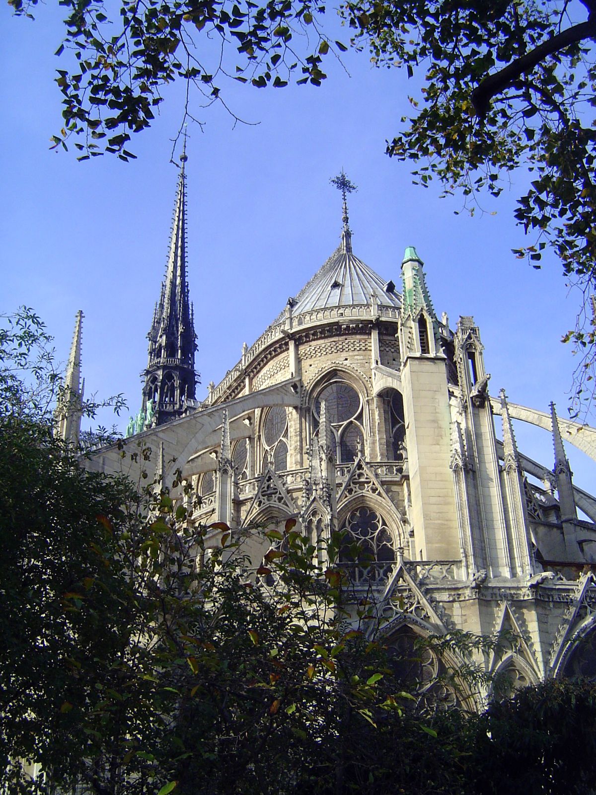 Another view.