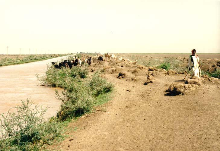 A branch canal.