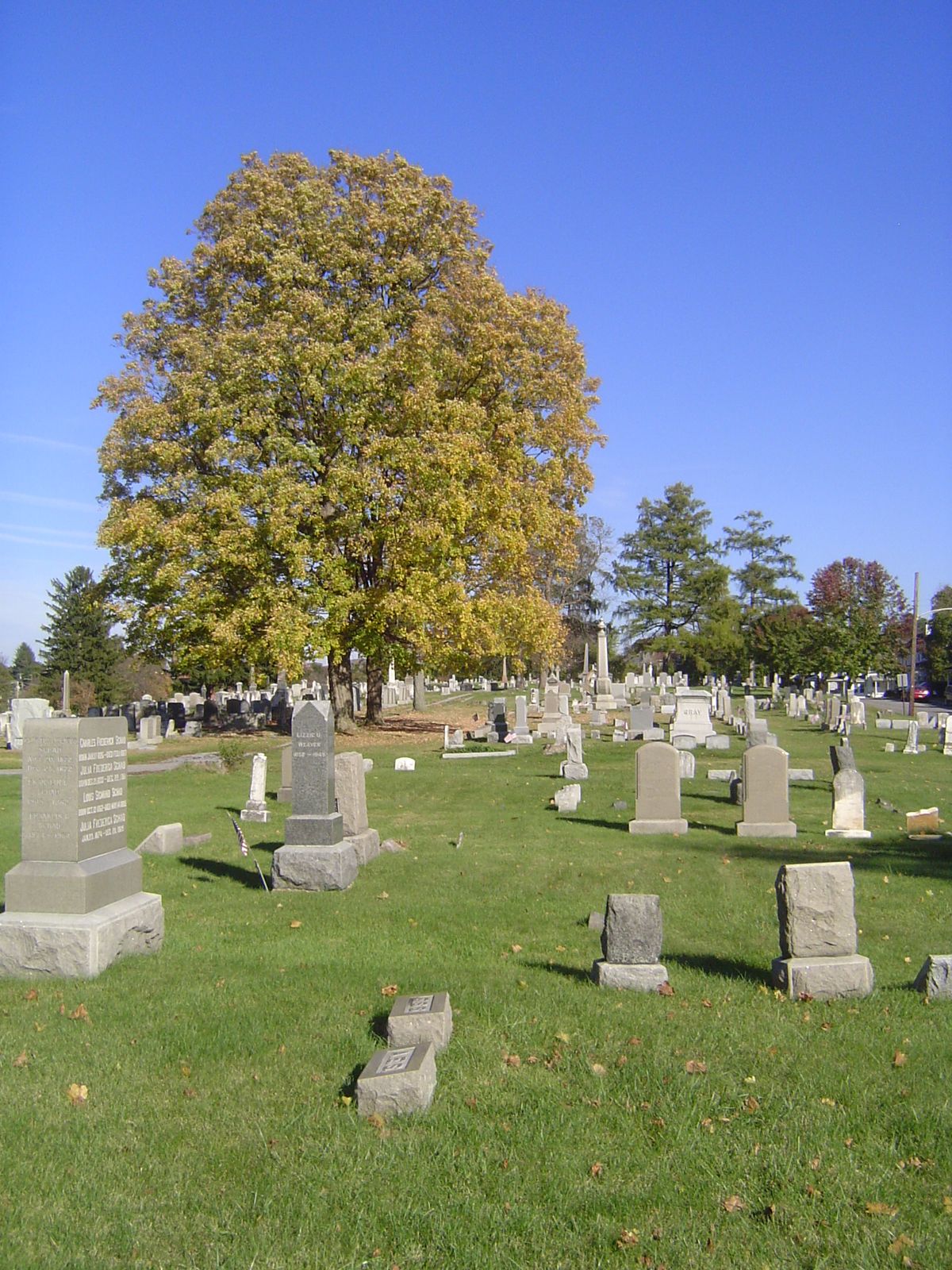 Most of the old residents are up here at the Union Cemetery, begun in 1808.