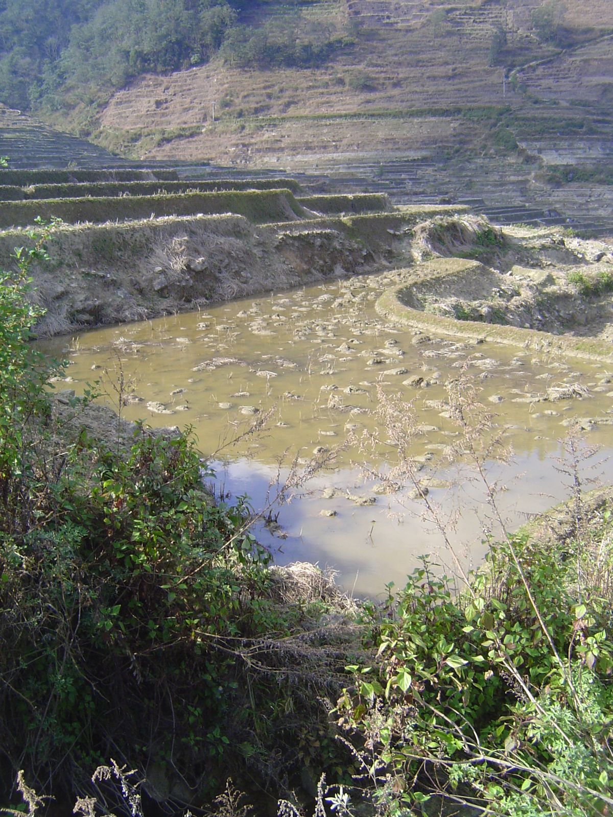 The main channel is lost in its gully in the foreground.