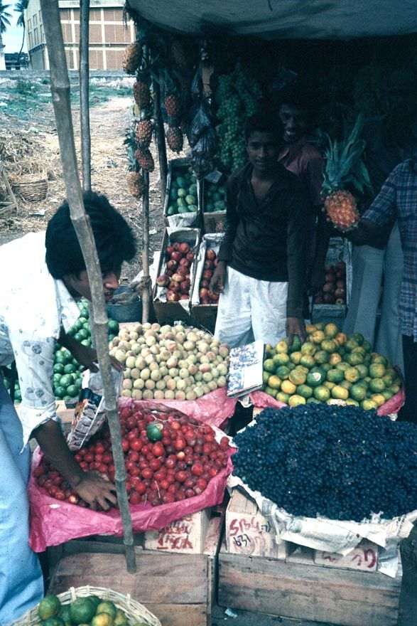 Fruit on display.