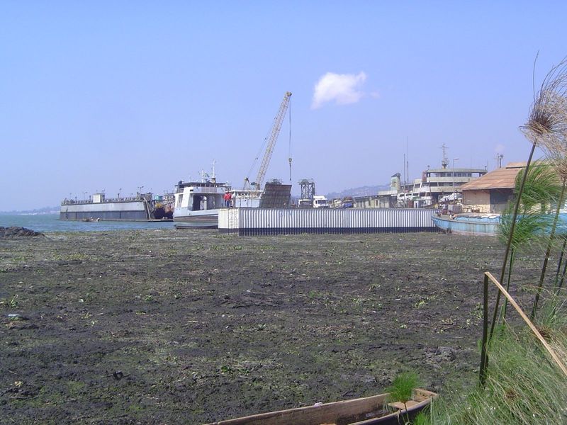We're retreated a bit. Think that's a mud flat? Don't step on it: you'll go right through. It's a mat of decayed water hyacinth. It wasn't h