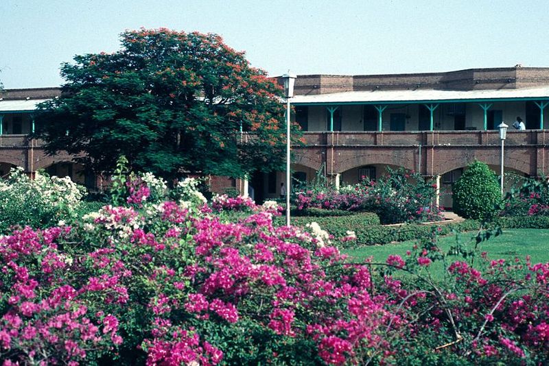 Behind the mass of Bougainvillea: the scheme's administration building. Here, plans were laid out to manage the production of long-staple co