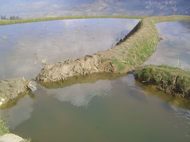 Feeding water into two fields.