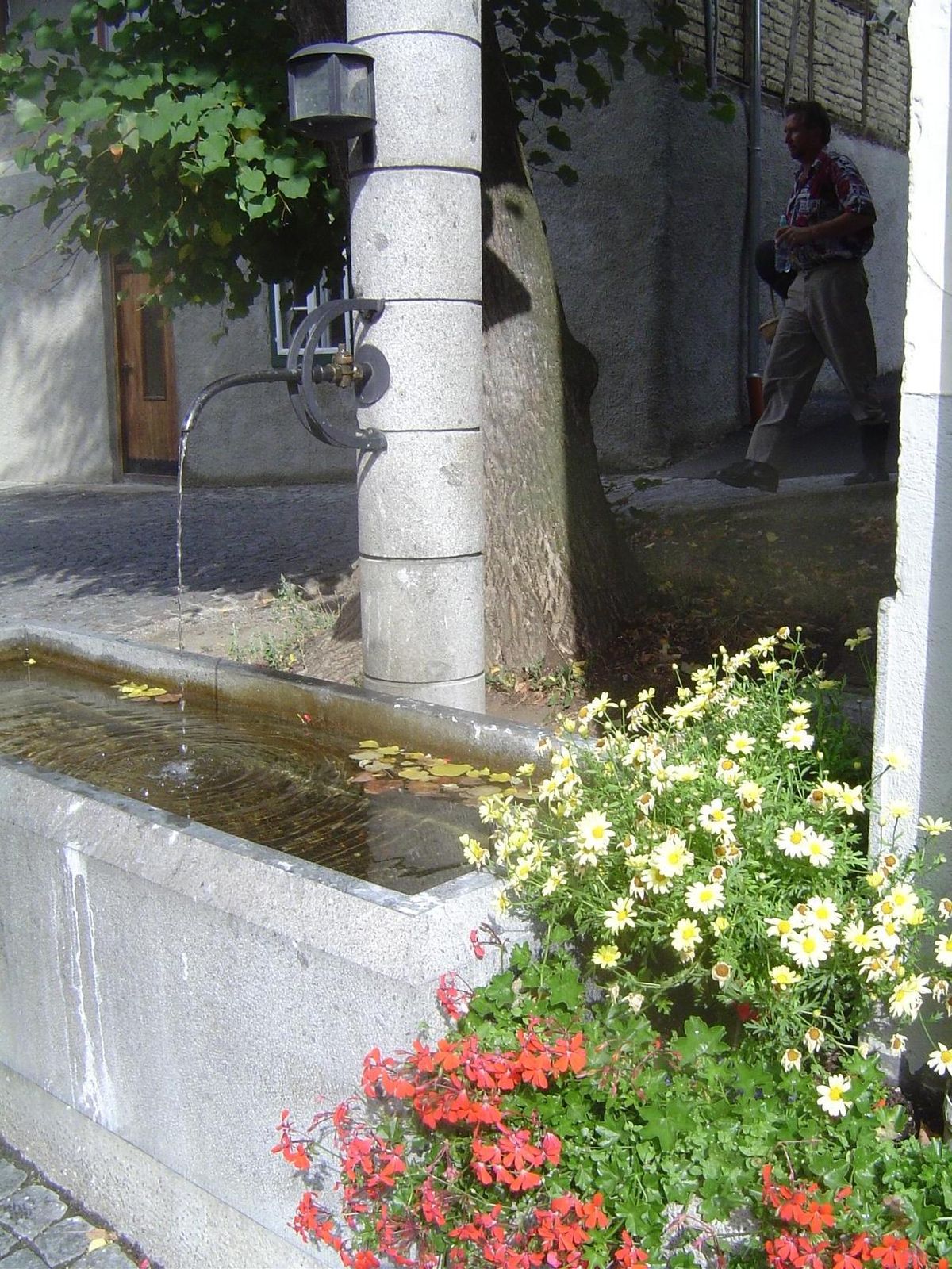 Water trough.