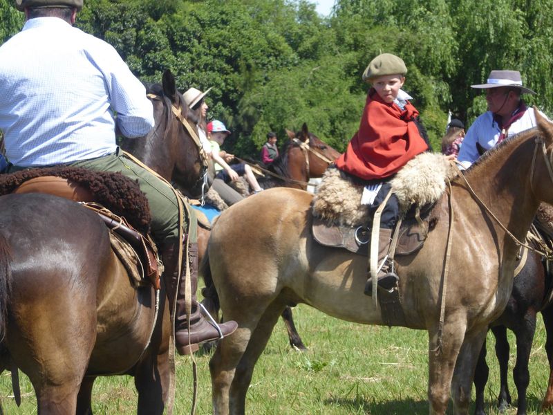 Gaucho in the making.