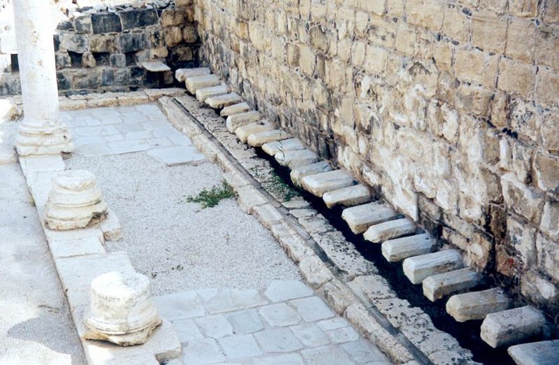 Latrines flanking an eastern bathhouse and also serving theater patrons.