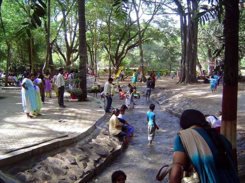 Wondering when we're getting to the city of the living? Right now, here at the Empress Botanical Garden.