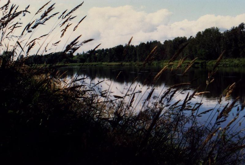 The farmland of Aroostook County is an agricultural oddity, a block of cultivable land separated by forest from the rest of the world. The a