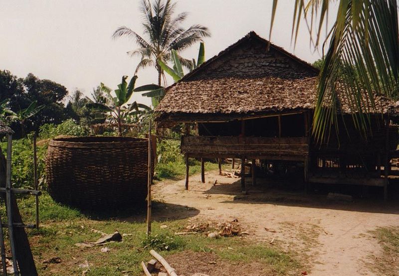 A typical local house, on posts and with the ubiquitous and immense basket for rice storage.