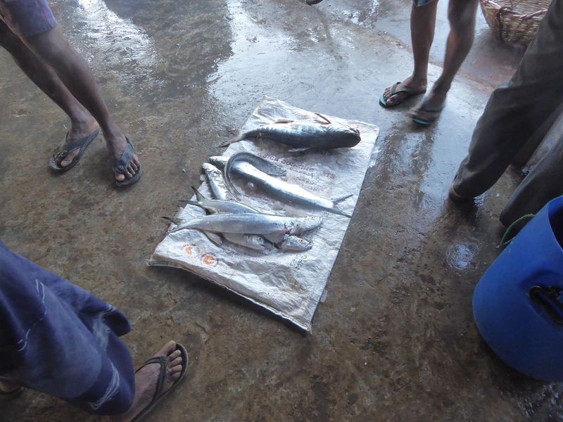 Here's a seller trying to keep his fish clean and sorted.