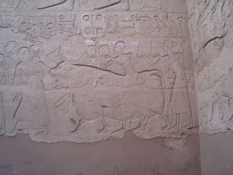 Sons of Rameses II lead the animals.