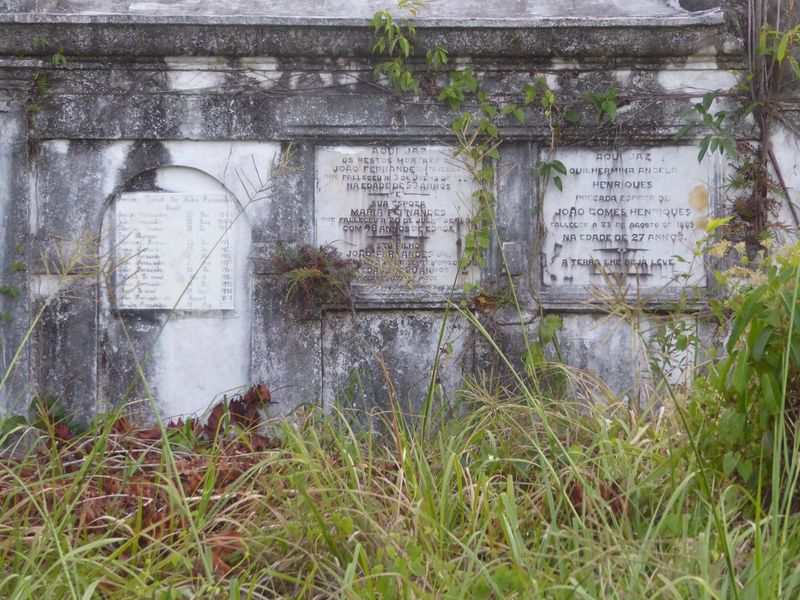 It's the John Fernandes Vault, named for a man who died in 1884 at 53. As late as 2008, his descendants were being placed and memorialized h