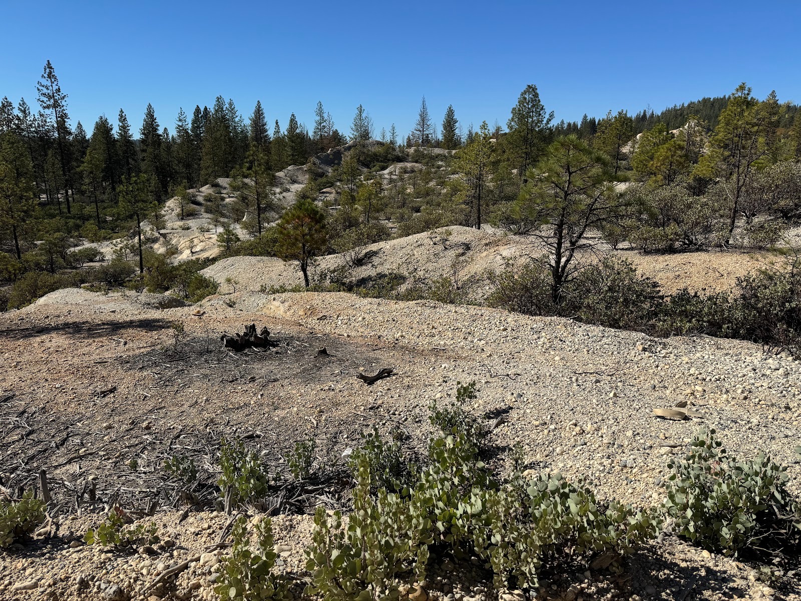 Come a few miles, and we can find some more land that was "hydraulicked."  We're on Jackass Flats Road, very close to the site where the pic