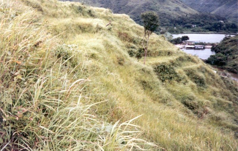 A dry-season photo. In 1989, there was paddy growing on some of these terraces, but it was weedy, neglected. A few years later, there was no