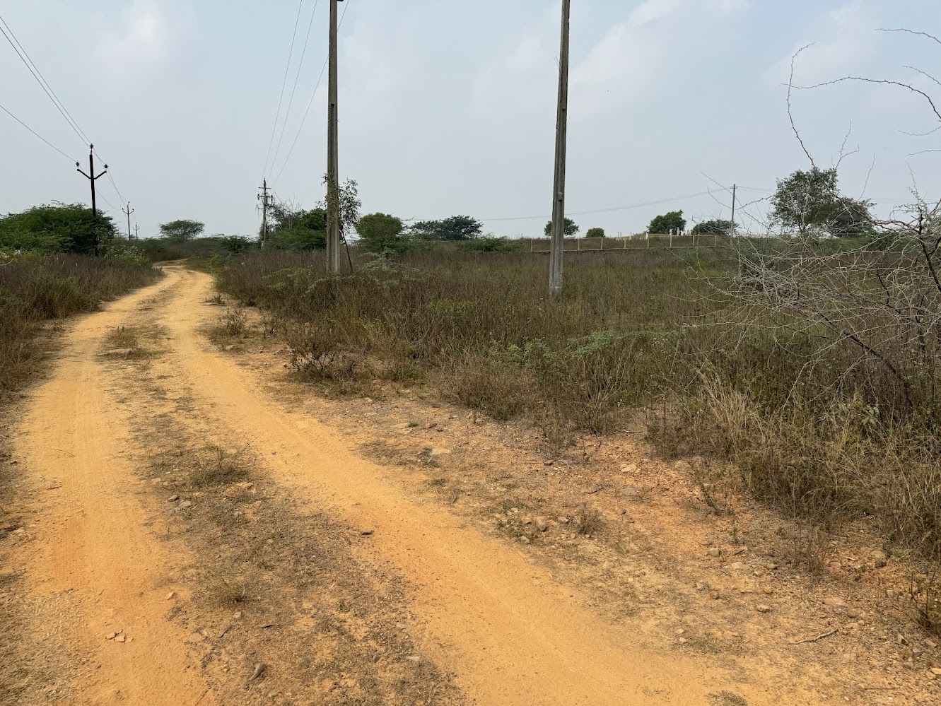 Yep, it's the main approach to Jaggayyapet.