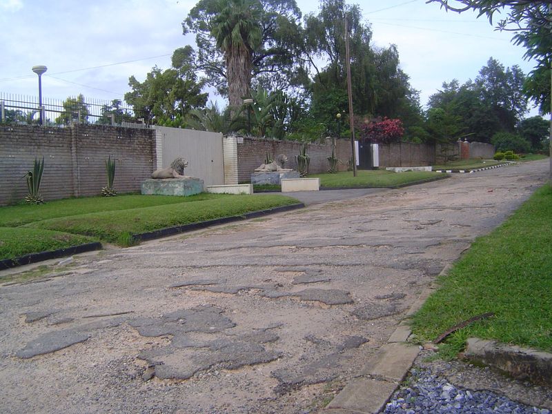 A pair of lions try not to notice the pitiful street.