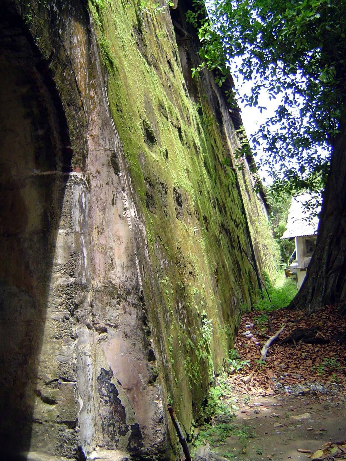 The wall on the land side of the fort.