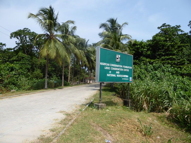 Noblesse oblige: the oil companies have funded the protection of a small patch of rain forest.