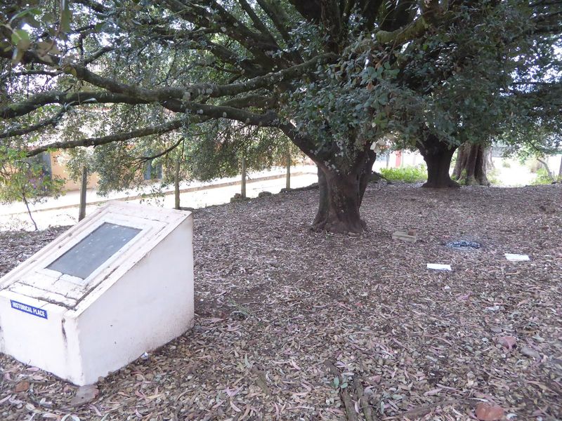 Two oaks and a clunky monument face the building.