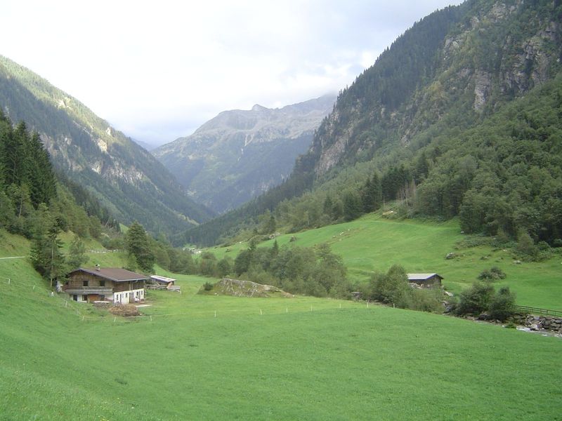 Again, as in the Oetztaler, the pastures are a blend of plants. Most dairy farms here are organic, an important strategy for survival in the