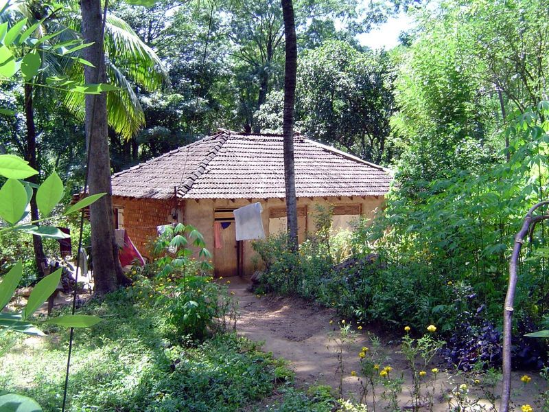A village house.