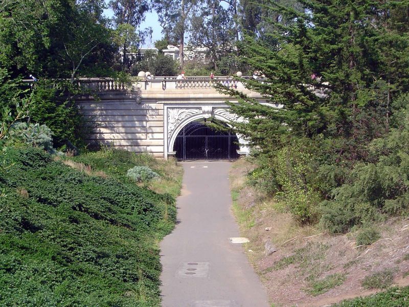Coming from the street in the background, the boy continued through the tunnel to the cluster of museums in the center of the park.