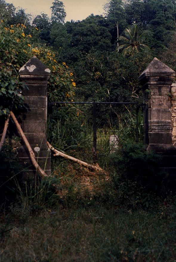 Here it is in 1985, seriously overgrown and the object of an appeal for help to restore it.