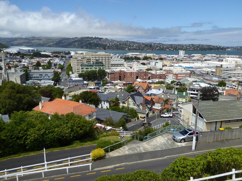Dunedin's residential expansion took two primary forms: uphill for those who could afford it and the southern flats for those who could not.