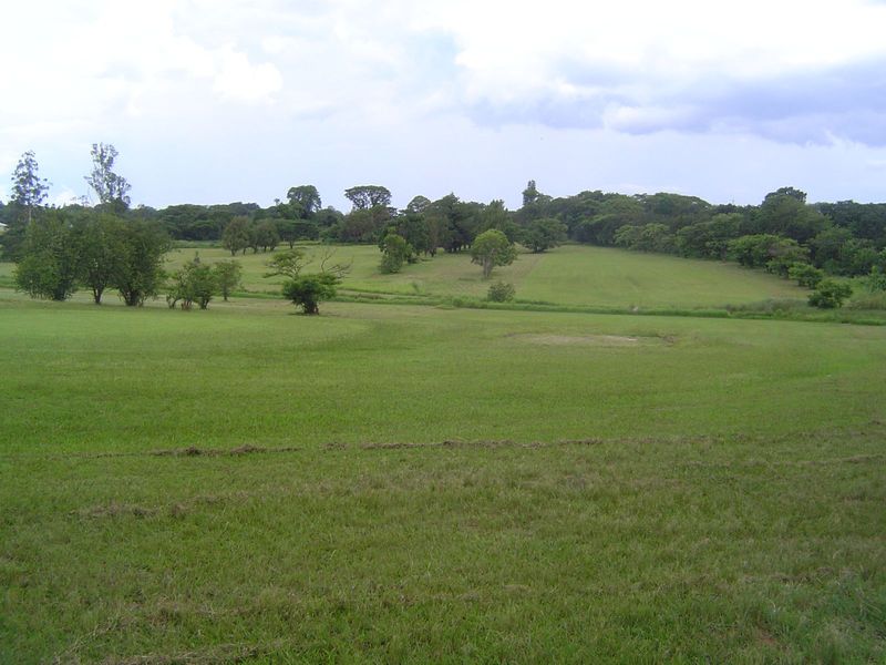The Roan Antelope Golf Club.