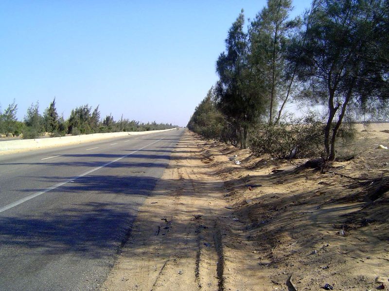Back to the clean desert.