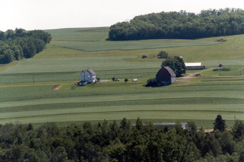 A typical farmstead: forest, the two crops, a barn. Passing through the middle of the picture is Highway 161, the main route between the St.