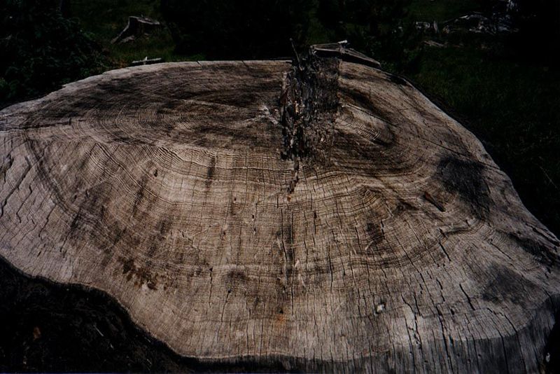 Up in the mountains themselves, the old economy struggles to survive.