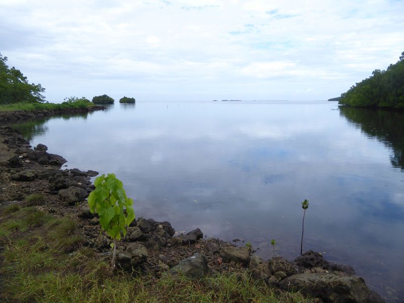 You can barely discern some offshore islands on the reef.