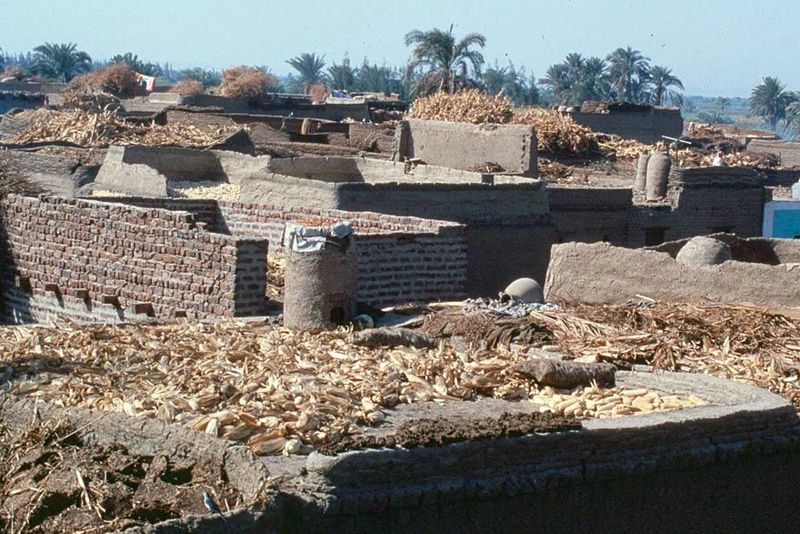 Tanda itself was in 1986 a study in monochrome: brick, mud, and fodder spread on rooftops to keep it from hungry animals.