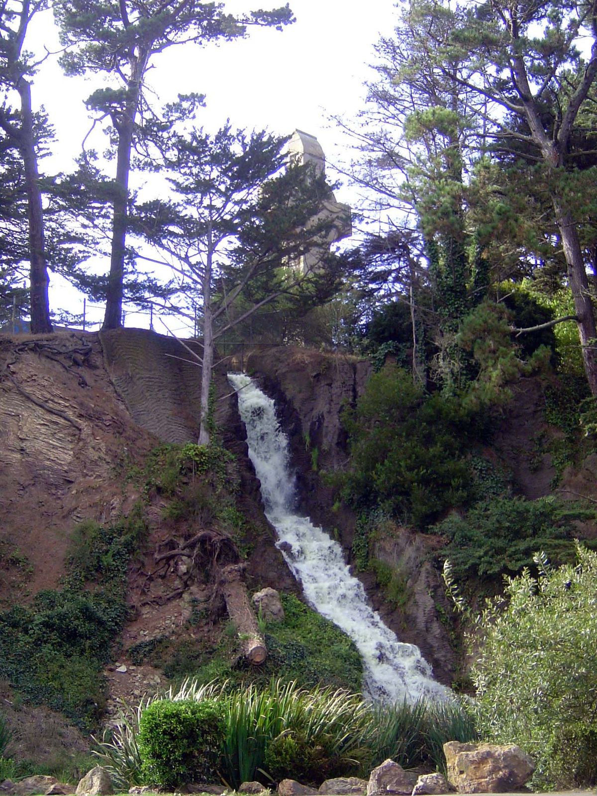 As it also does at a second waterfall, east of the park's buffalo paddock. In the first 20 years of his life, the boy never saw a drop of wa