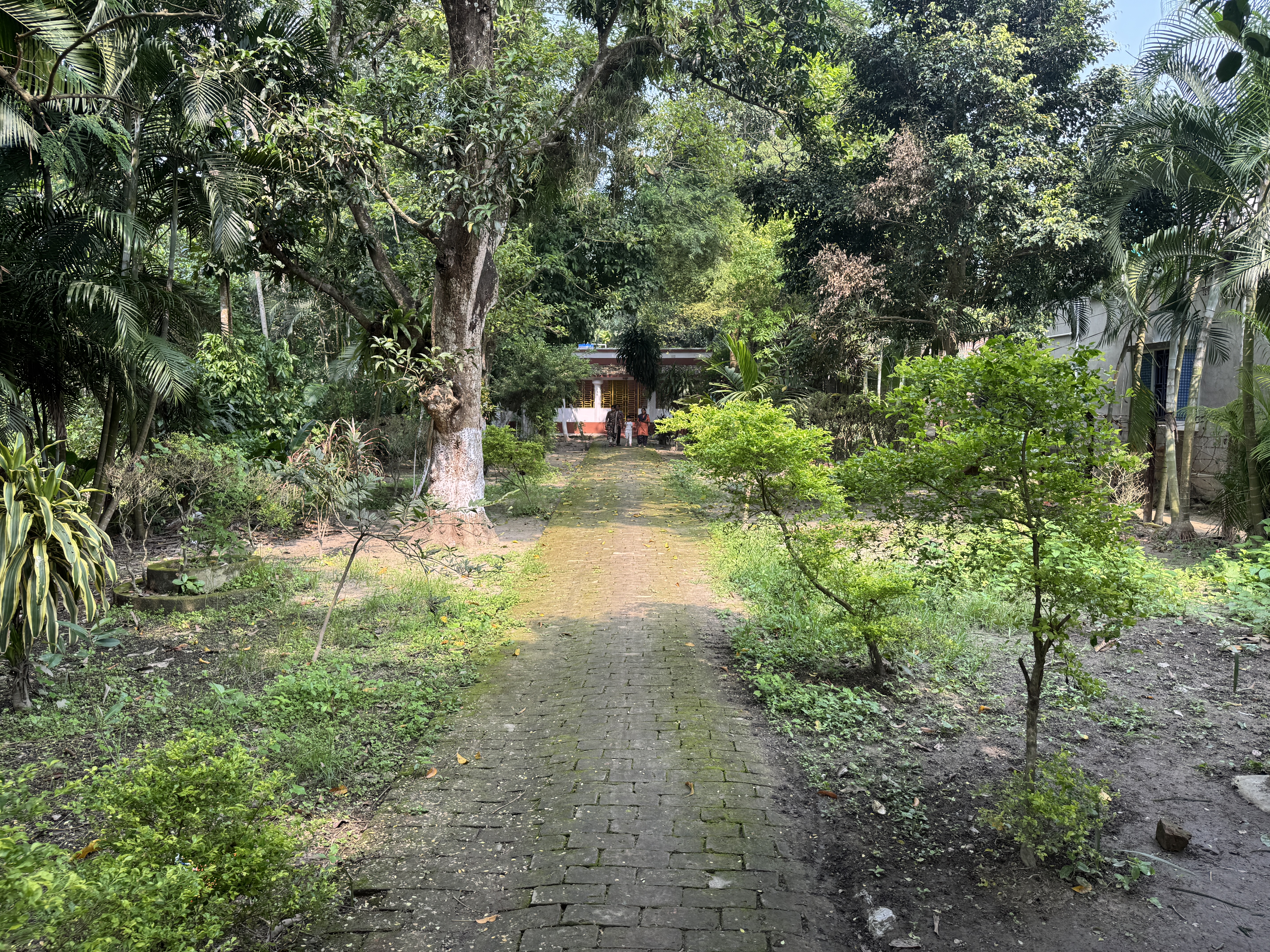 Across the street, we follow the brick road.