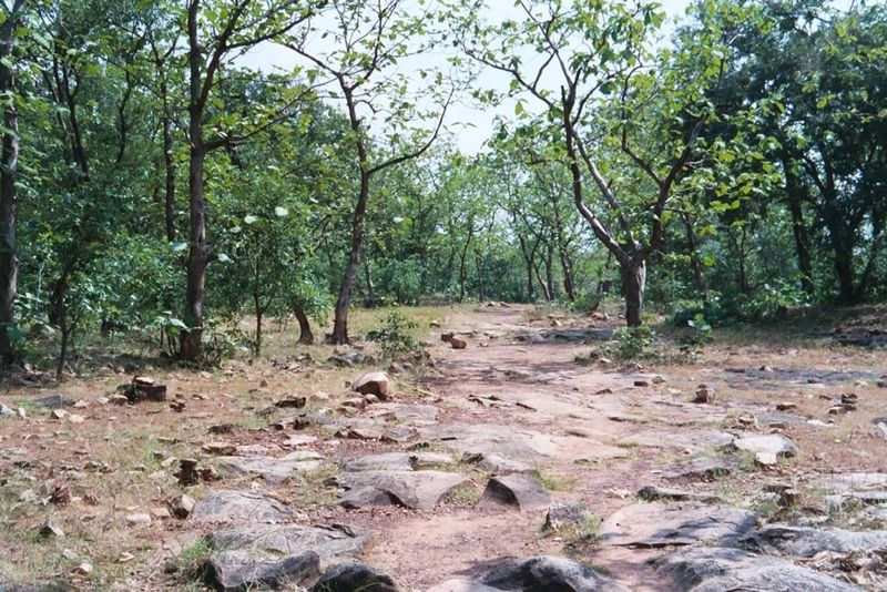 Most of the summit is now forested.