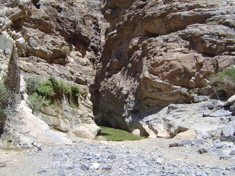 End of the path: water between perpendicular walls. The water was overgrown with... well, with a plant of some sort.