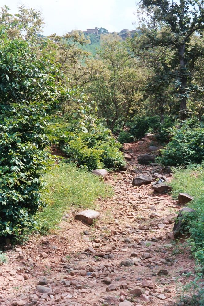 Path up.
