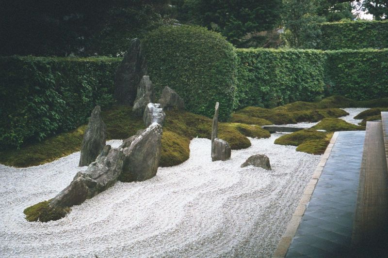 How's this garden it's Zuihoin for drama? It's enough to make you look around for a lifeboat.