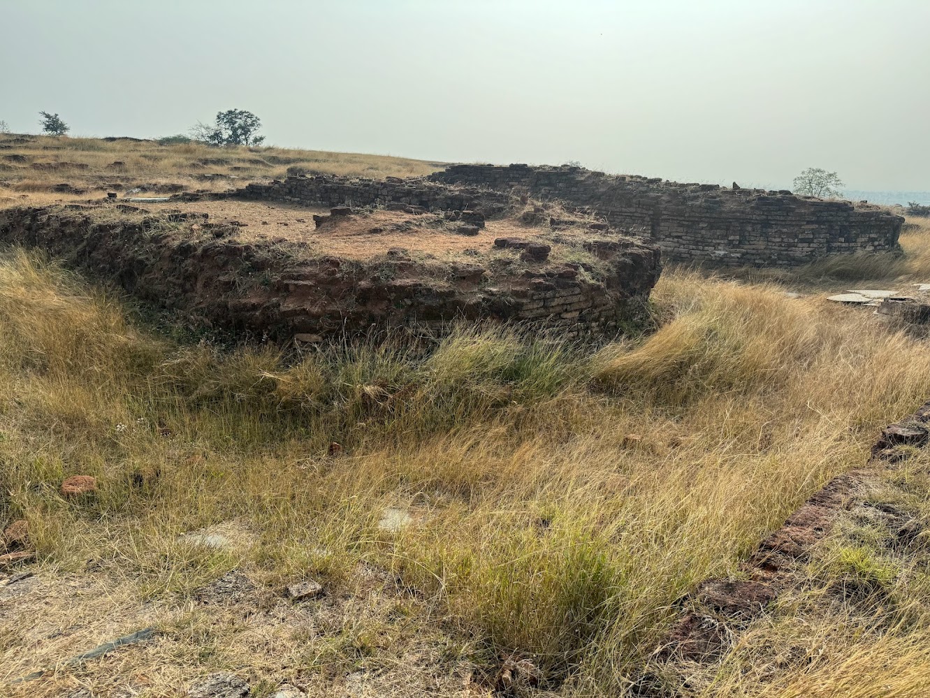 But yes, there was a gate and it leads to the foundations of these two apsidal prayer halls.