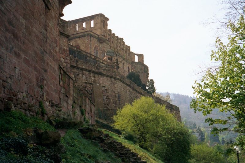 Perhaps this is the "poetic charm" Baedeker had in mind. From 1225 to 1720 Heidelberg was the capital of the Palatinate, whose early Count P