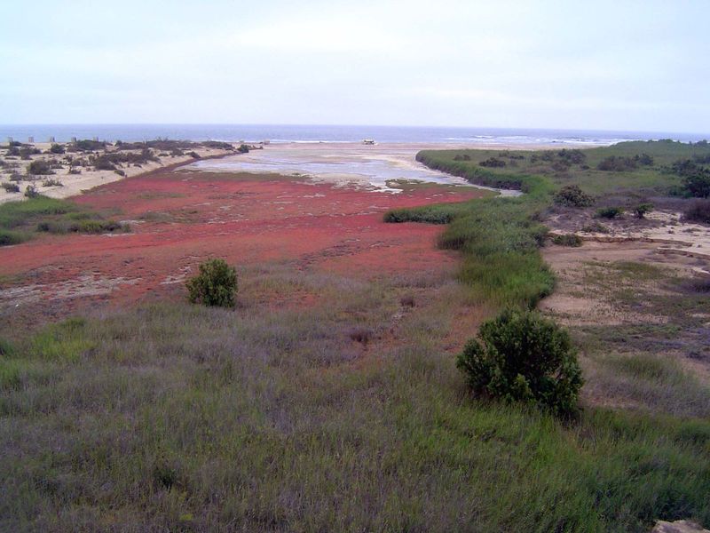 The Swakop River.
