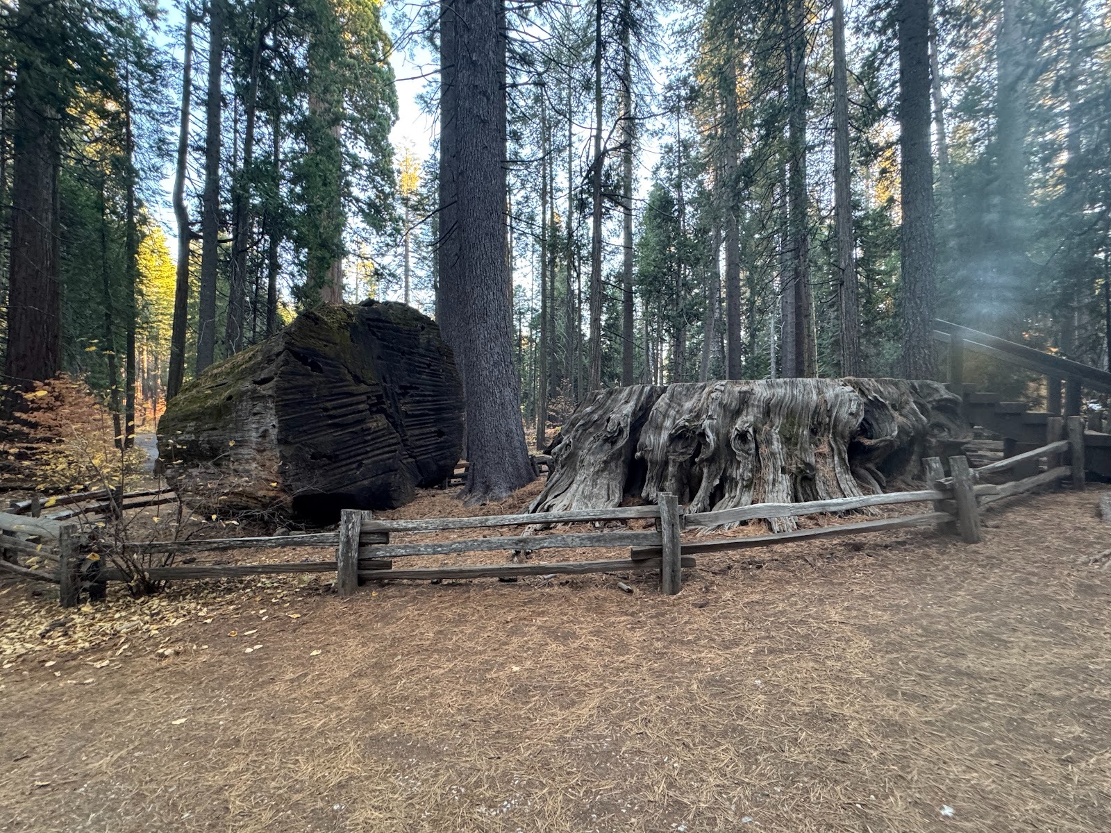 The Harper's author was eloquent: "This monster was cut down by boring with long and powerful augers, and sawing the spaces between—an achie