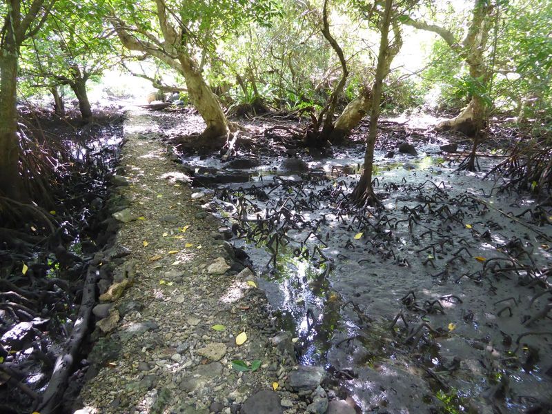 The ruins of Nan Madol that's all that's left of the place can be reached by canoe at high tide. The most prominent of the ruins, which hold