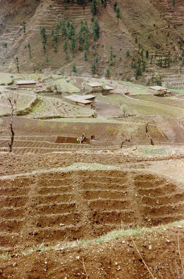 The soft earth, ready for planting.