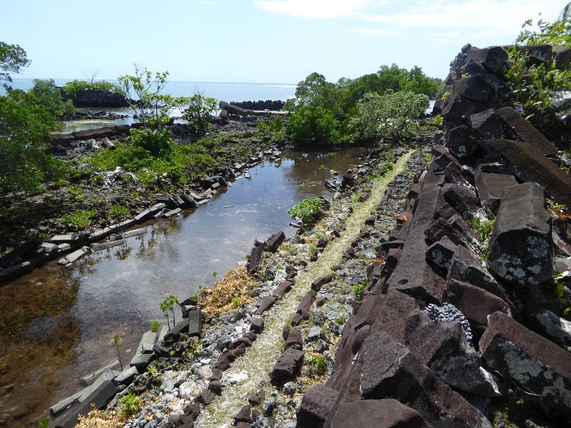 Here's the view from the top of the enclosure's rear wall. There are two outer walls protecting Nan Douwas. There's no visible reef because 